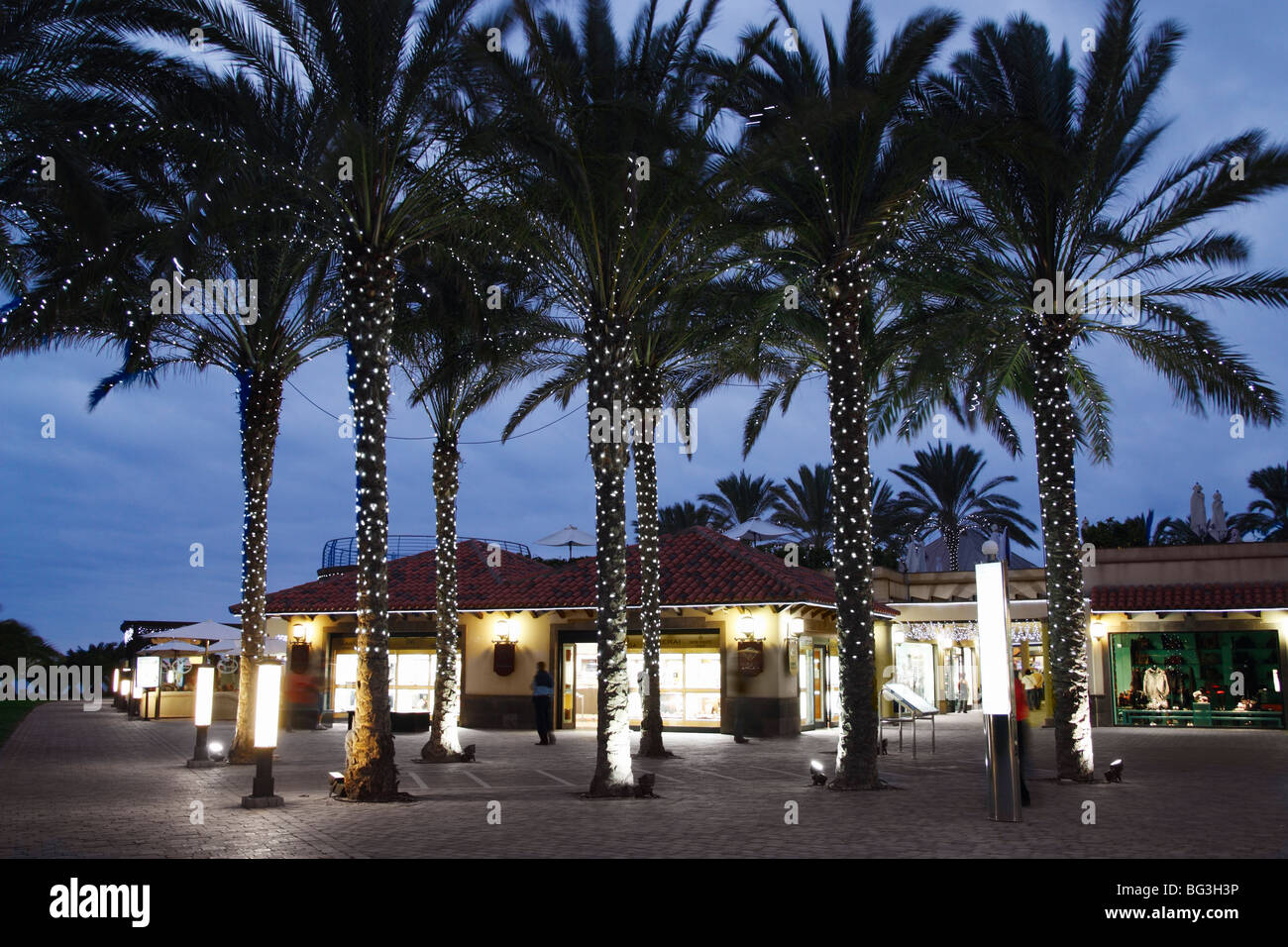 Le luci di Natale sulle palme, Maspalomas, Gran Canaria Foto Stock