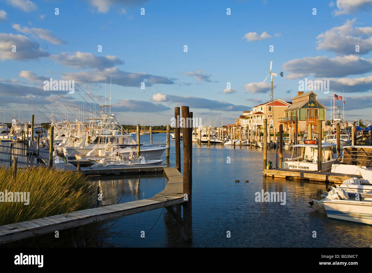 Cape May, Porto Cape May County, New Jersey, Stati Uniti d'America, America del Nord Foto Stock