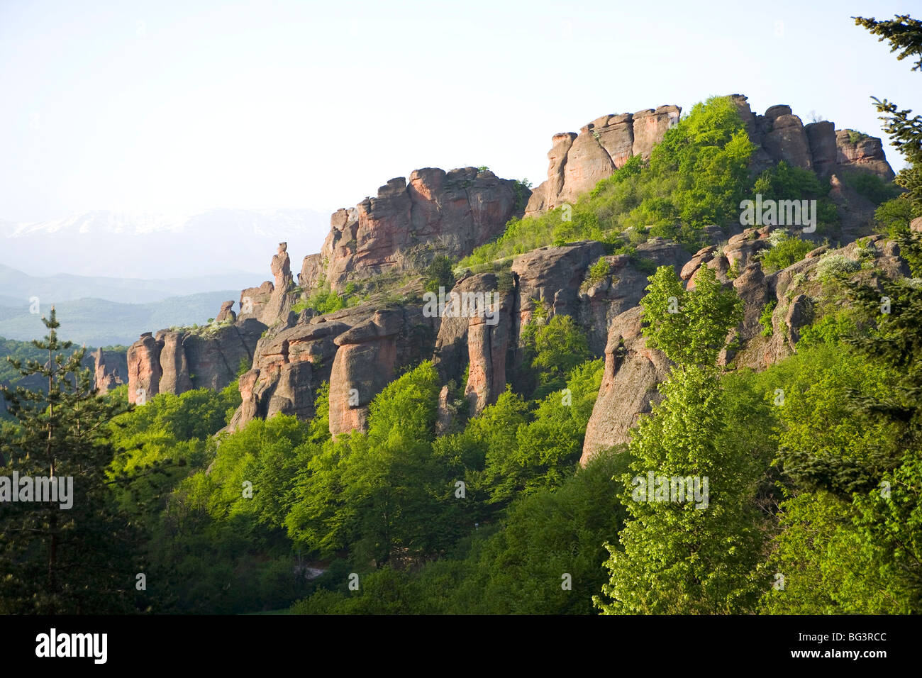 Le formazioni rocciose, Belogradchik, Bulgaria, Europa Foto Stock