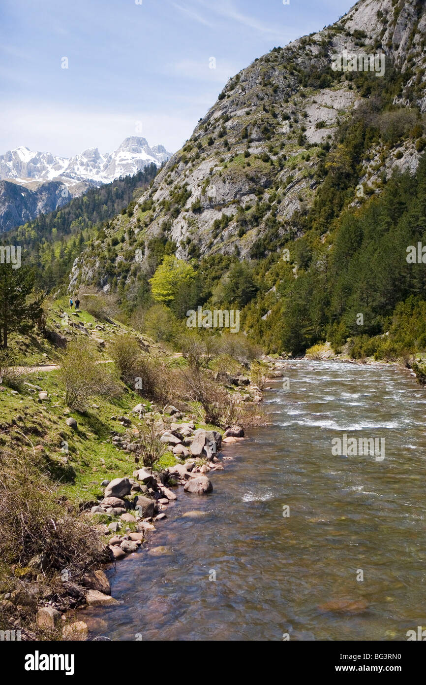 Pirenei vicino a Jaca, Aragona, Spagna, Europa Foto Stock