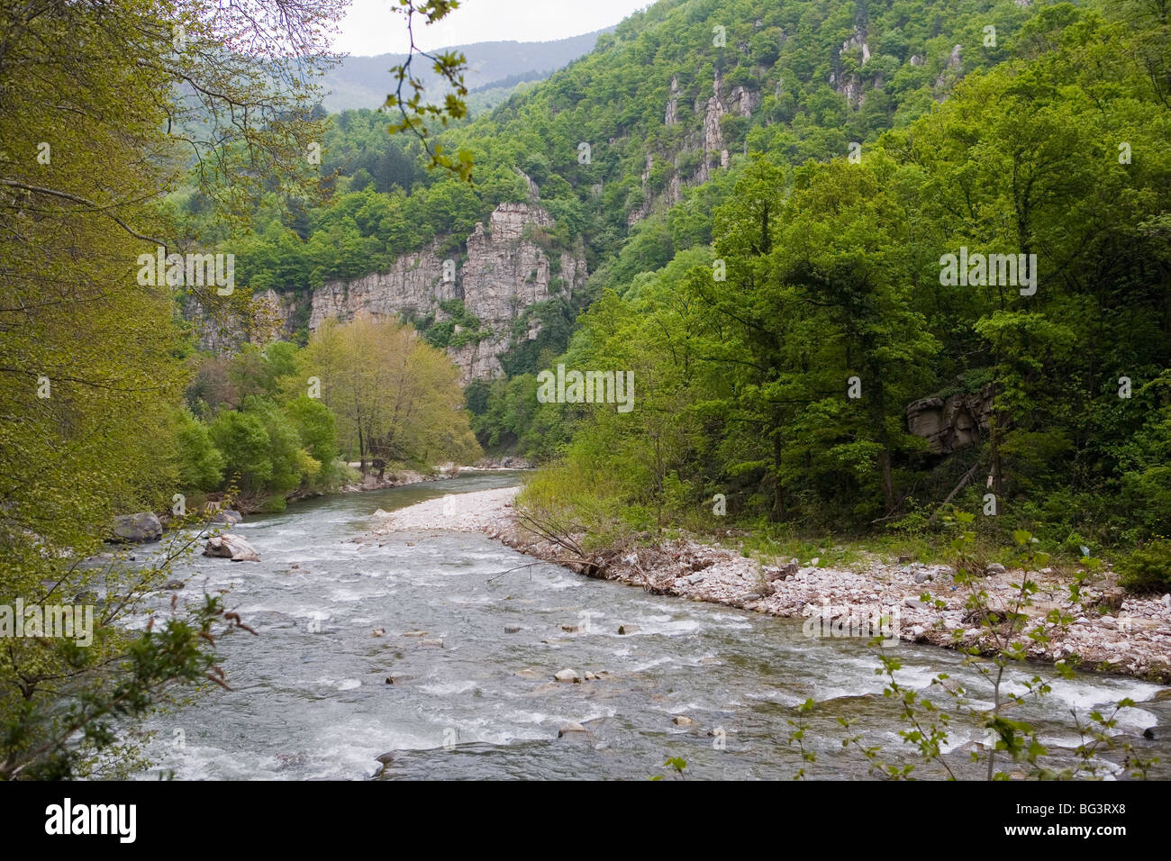 Chepelarska Gorge, Asenovgrad, Bulgaria, Europa Foto Stock