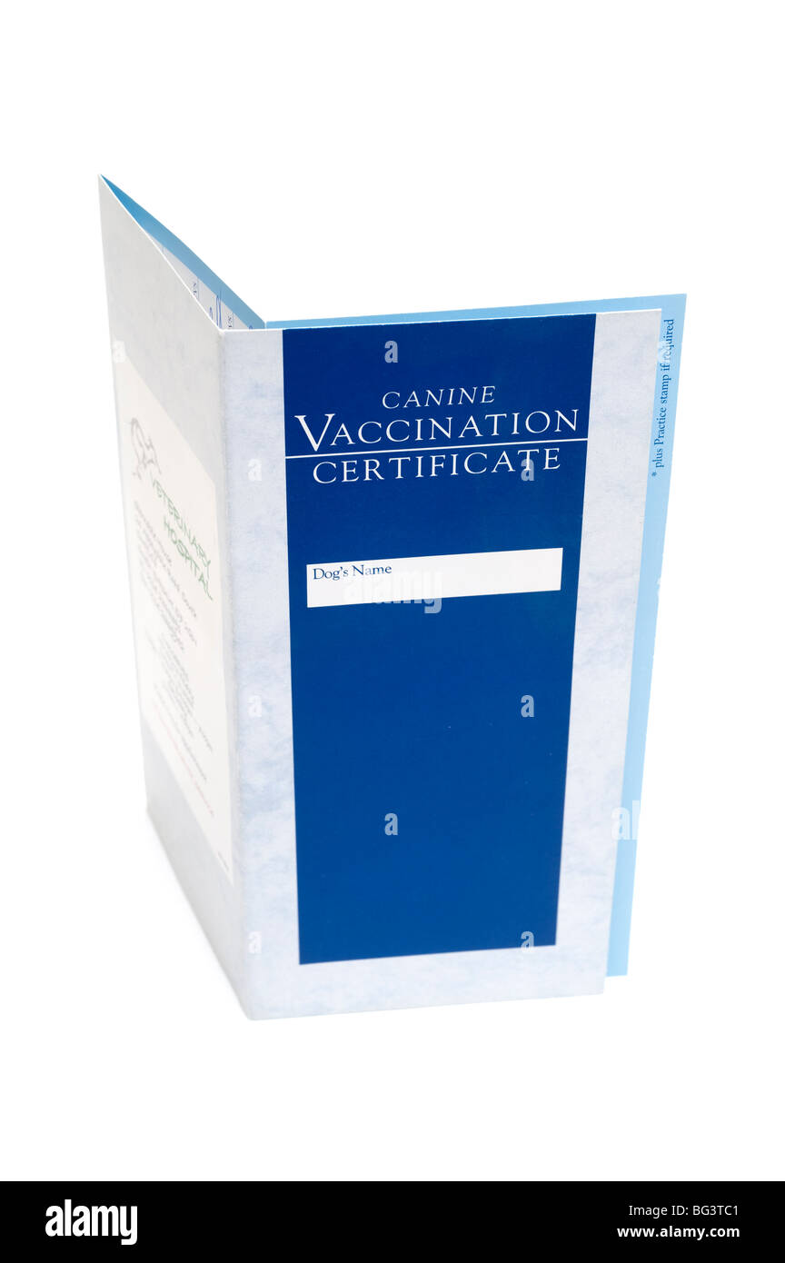 Canino certificato di vaccinazione card Foto Stock
