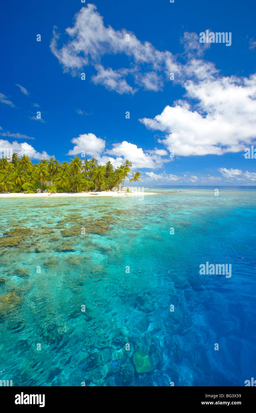 Isola e reef, Maldive, Oceano Indiano, Asia Foto Stock