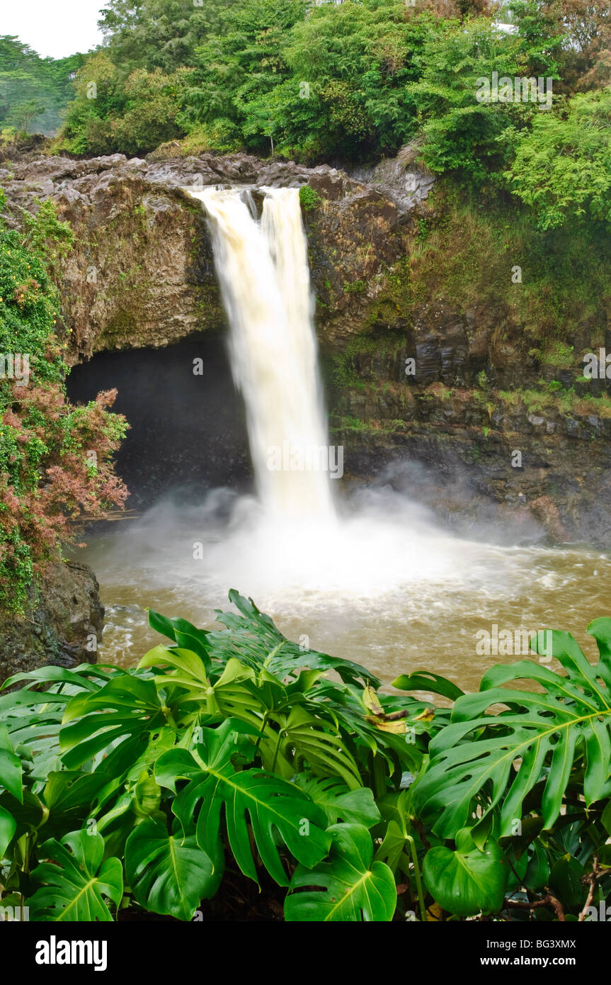Fiume Wailuku Rainbow Falls State Park sulla Big Island, Hawaii, Stati Uniti d'America, America del Nord Foto Stock