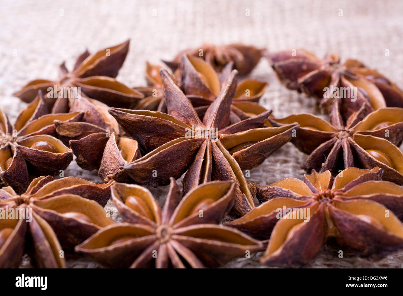Immagine di alcuni anice stellato frutti e semi. Foto Stock
