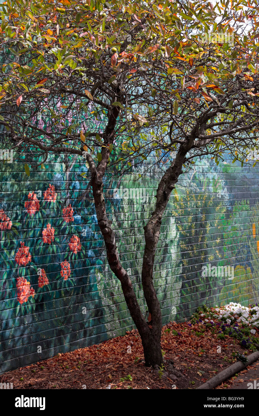 Arte e natura si fondono insieme un albero davanti a un murale di Katoomba nelle Blue Mountains del Nuovo Galles del Sud Australia Foto Stock