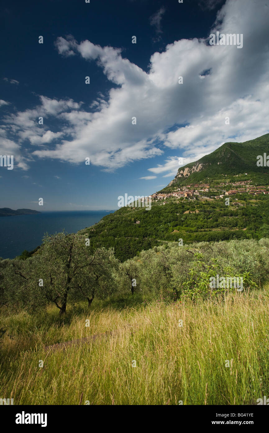 L'Italia, Lombardia, Lake District, il Lago di Garda, Tignale area, villaggio di piovere Foto Stock