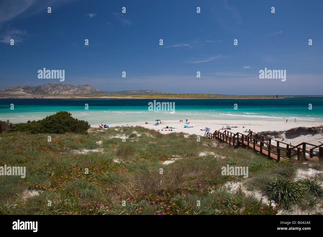 Italia Sardegna nord occidentale della Sardegna, Capo del Falcone, vista della spiaggia della Pelosa Foto Stock