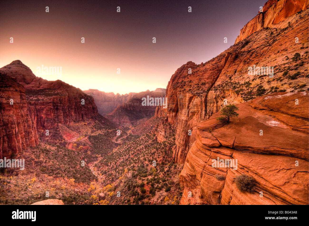 Stati Uniti d'America, Utah, Parco Nazionale Zion, dal Canyon Overlook Foto Stock