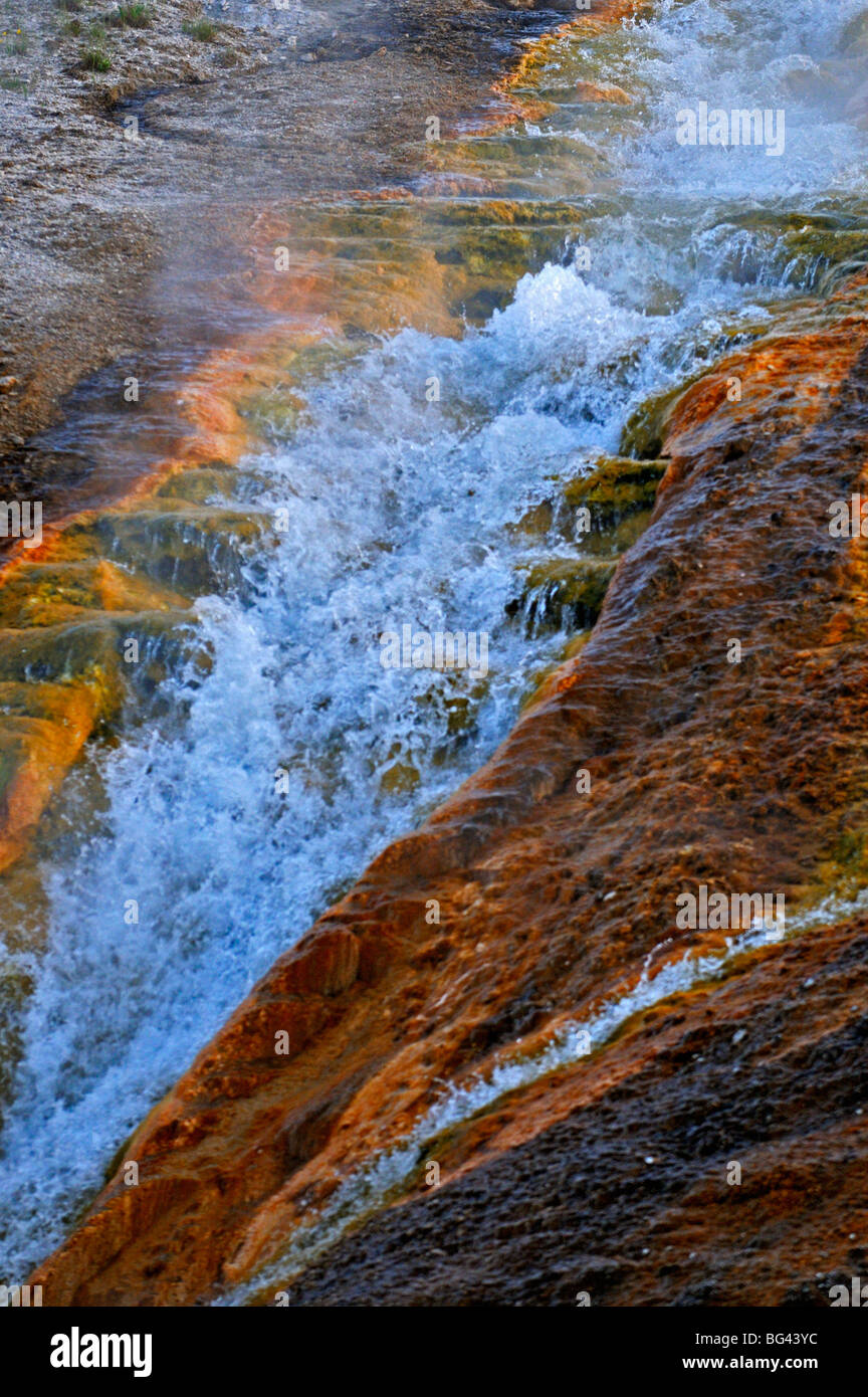 Acqua correre da una primavera calda nel parco nazionale di Yellowstone Foto Stock