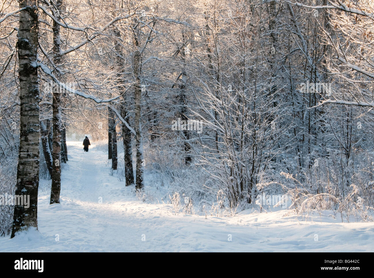 Pellegrini sulla strada per il Monastero Bogorodichno-Uspenskij, Tikhvin, regione di Leningrado, Russia Foto Stock