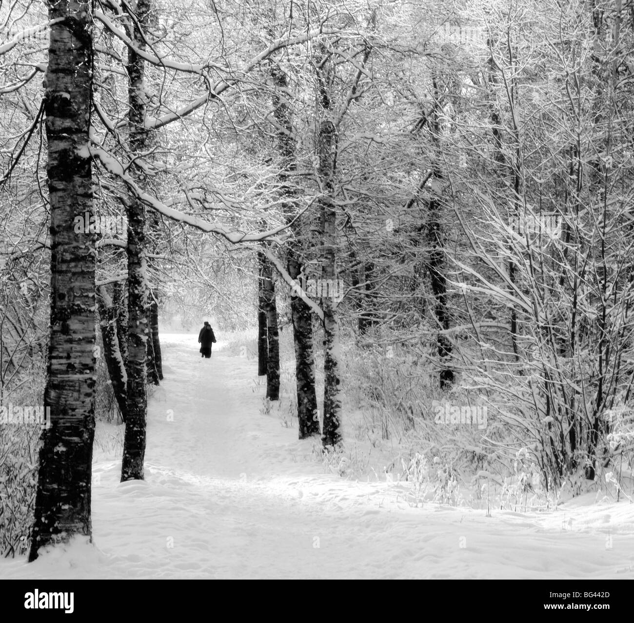 Pellegrini sulla strada per il Monastero Bogorodichno-Uspenskij, Tikhvin, regione di Leningrado, Russia Foto Stock