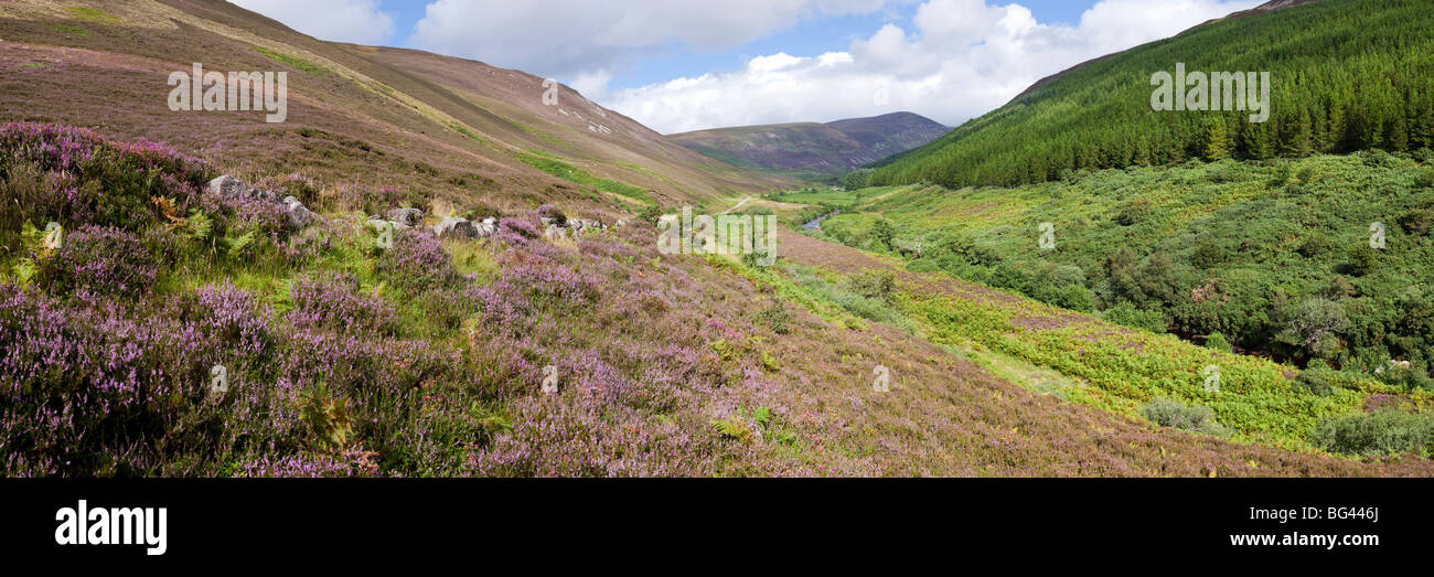 Una vista panoramica di Glen Loth, a nord di Brora, Highland, Scozia Foto Stock
