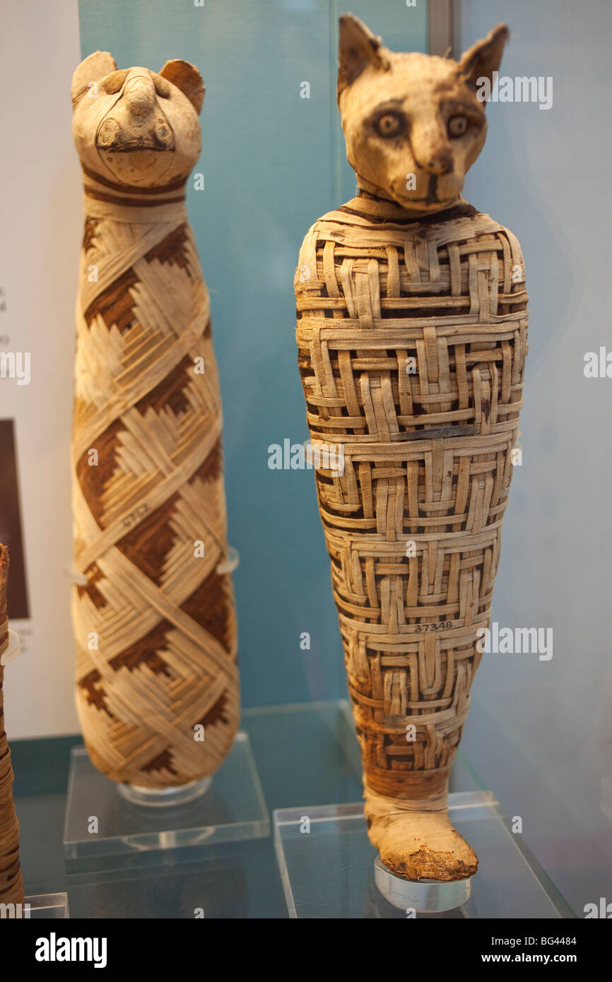 Inghilterra, Londra, British Museum, mummie animali egiziane Foto Stock
