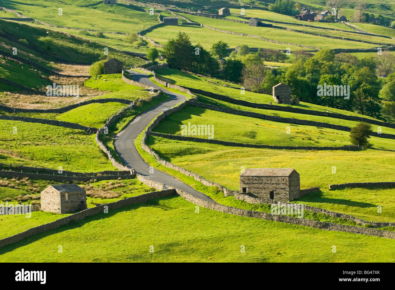 Vista della tradizionale fienili in pietra e pareti in prossimità Thwaite in Swaledale, nello Yorkshire, Inghilterra, Regno Unito, Europa Foto Stock