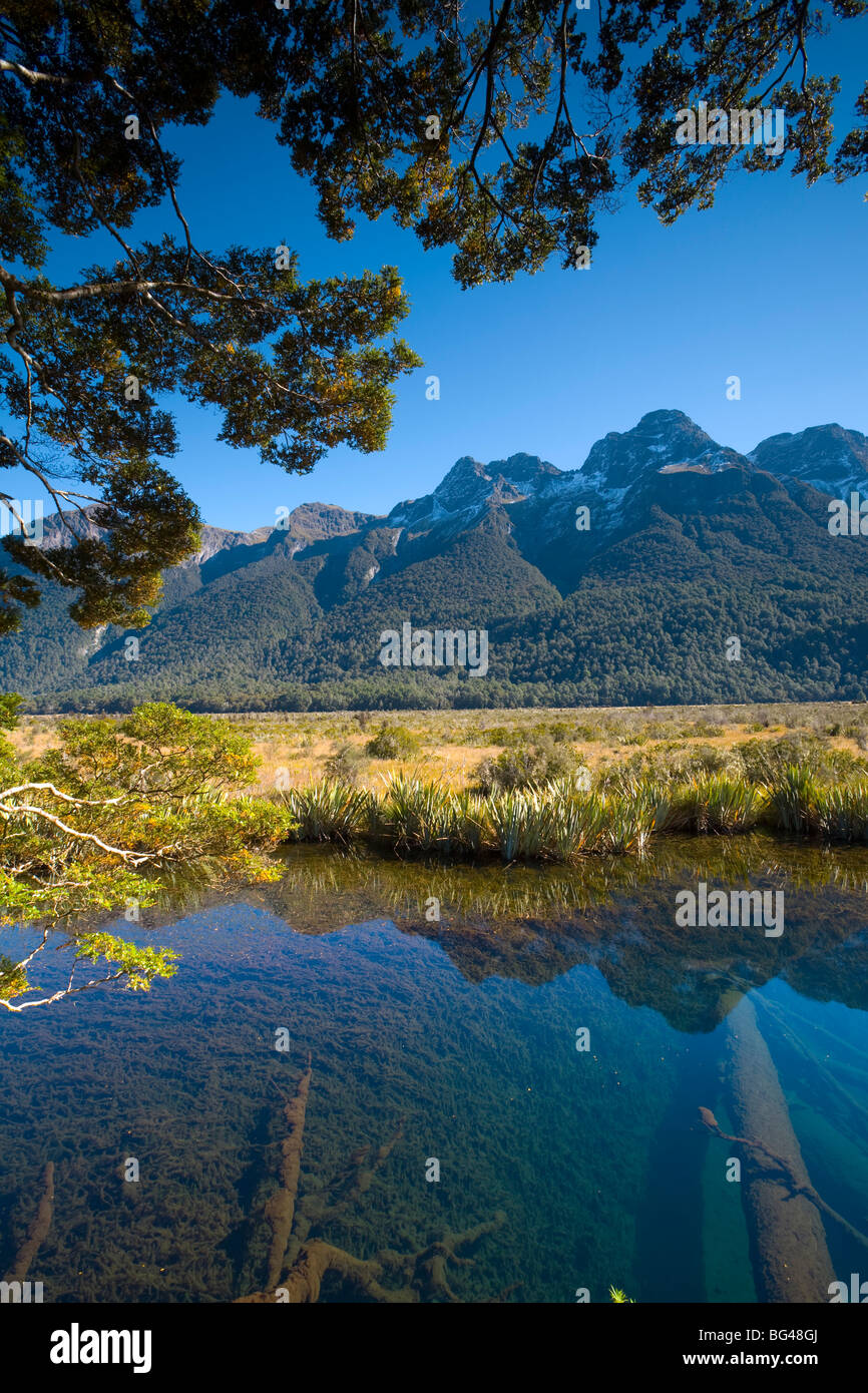 Piscine a specchio, Fjordland National Park, Isola del Sud, Nuova Zelanda Foto Stock