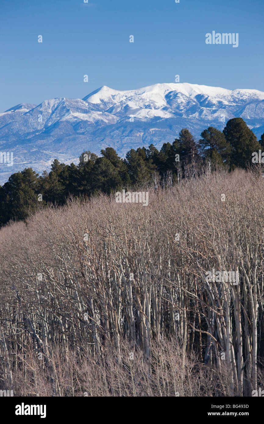 Stati Uniti d'America, Utah, Boulder, vista verso il Parco nazionale di Capitol Reef da Rt. 12, inverno Foto Stock