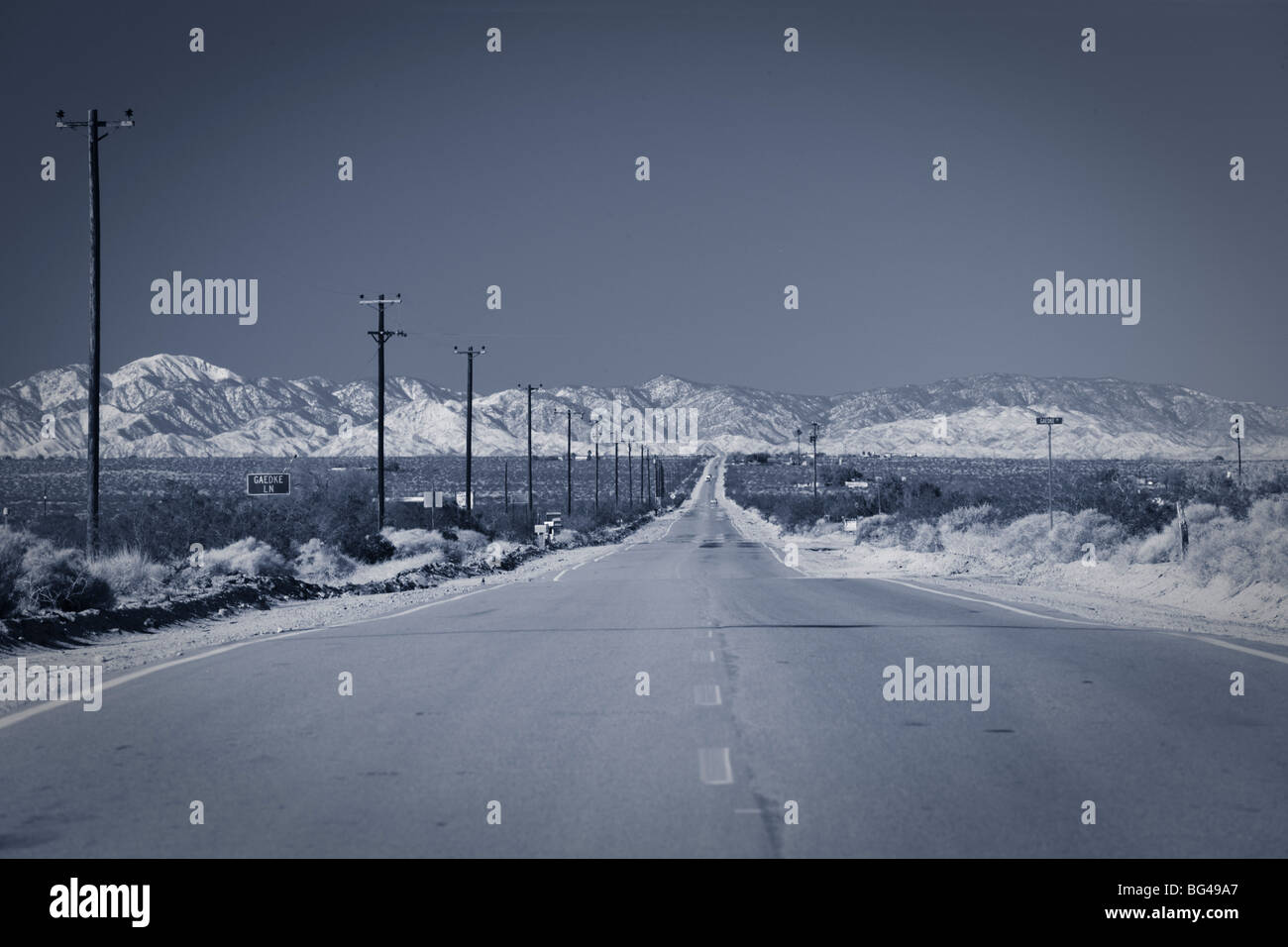 Stati Uniti, California, ventinove palme, Amboy Road, Deserto Mojave Foto Stock