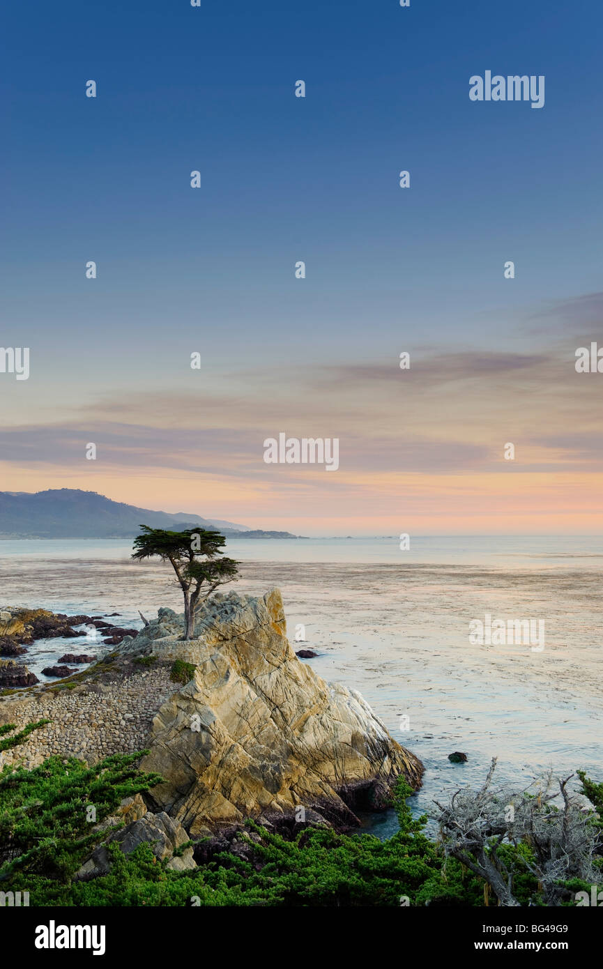 Stati Uniti, California, Monterey Peninsula, 17 Mile Drive, Lone Cypress Foto Stock