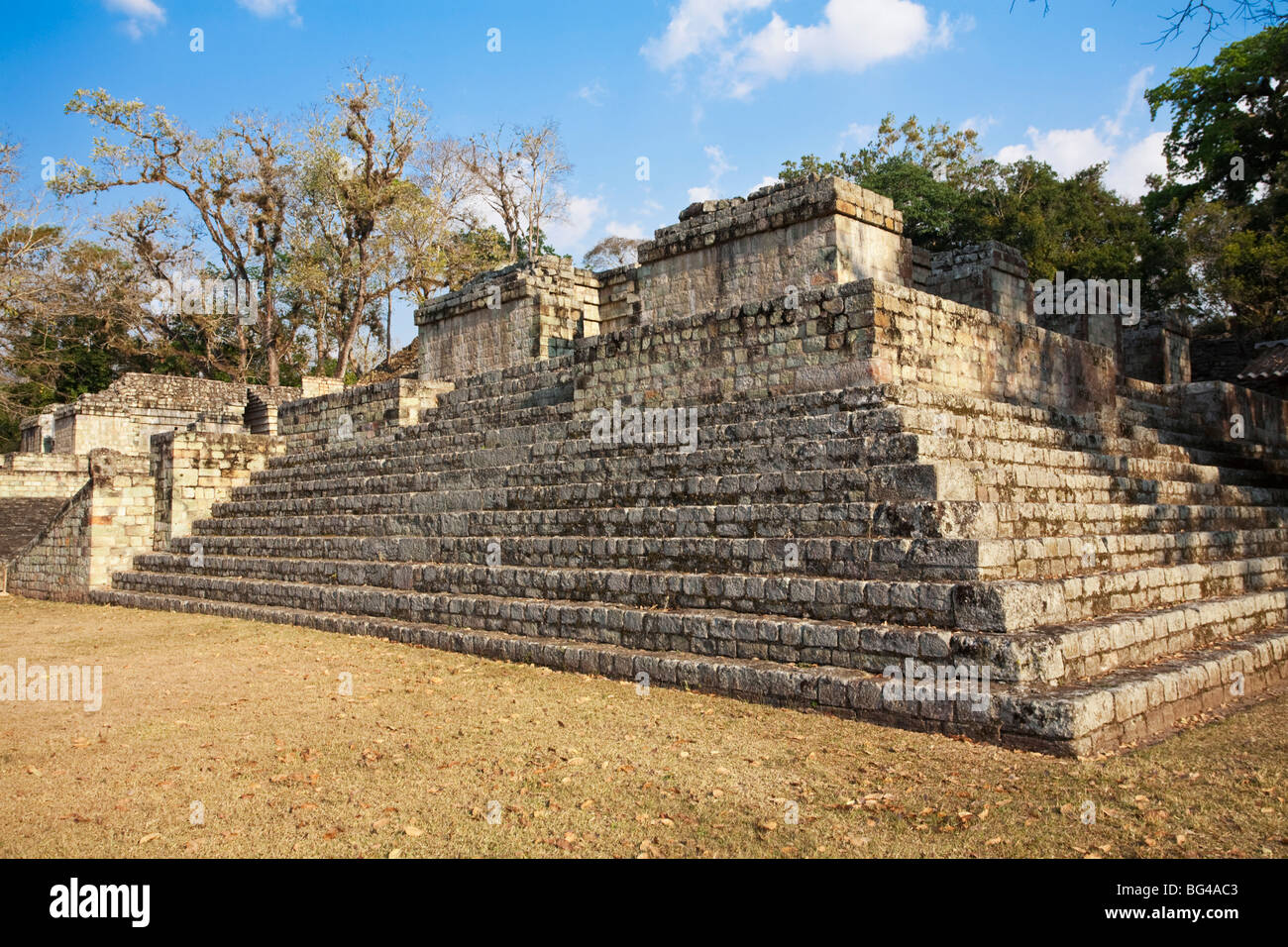 Honduras, Copan Ruinas, Copan rovine, Central Plaza, palla, annunci 731 Foto Stock