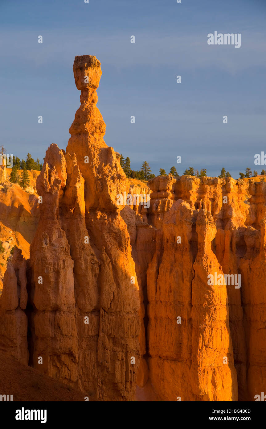 Stati Uniti d'America, Utah, Parco Nazionale di Bryce Canyon, Thors Hammer vicino a punto al tramonto Foto Stock