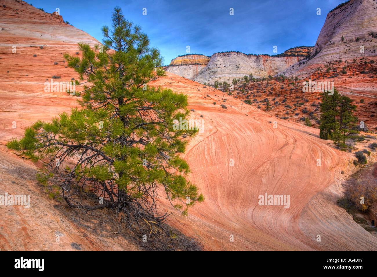 Stati Uniti d'America, Utah, Parco Nazionale di Zion Foto Stock