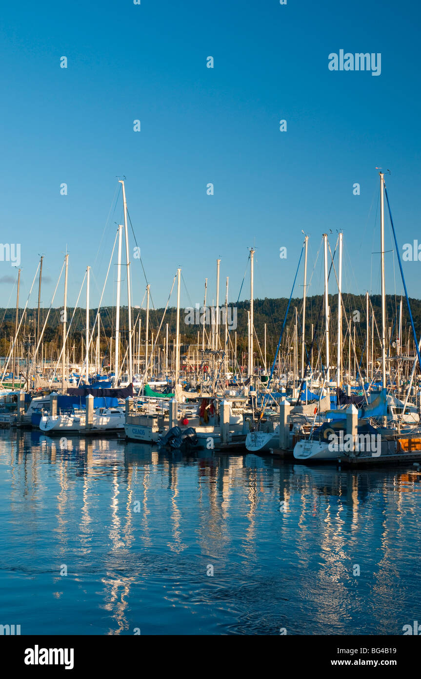 Stati Uniti, California, Monterey Foto Stock