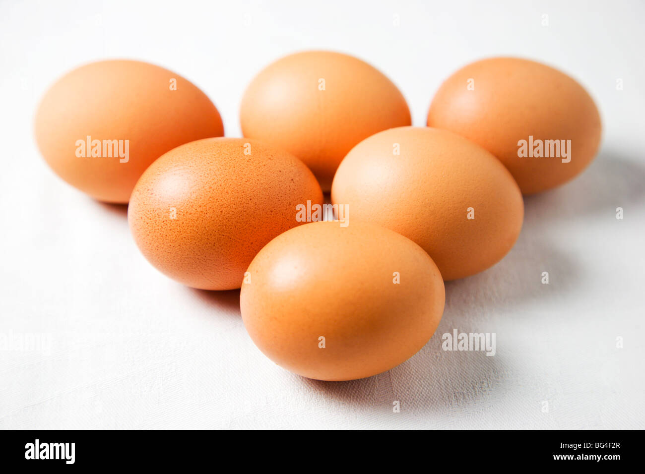 Sei organici di uova di galline su sfondo bianco Foto Stock