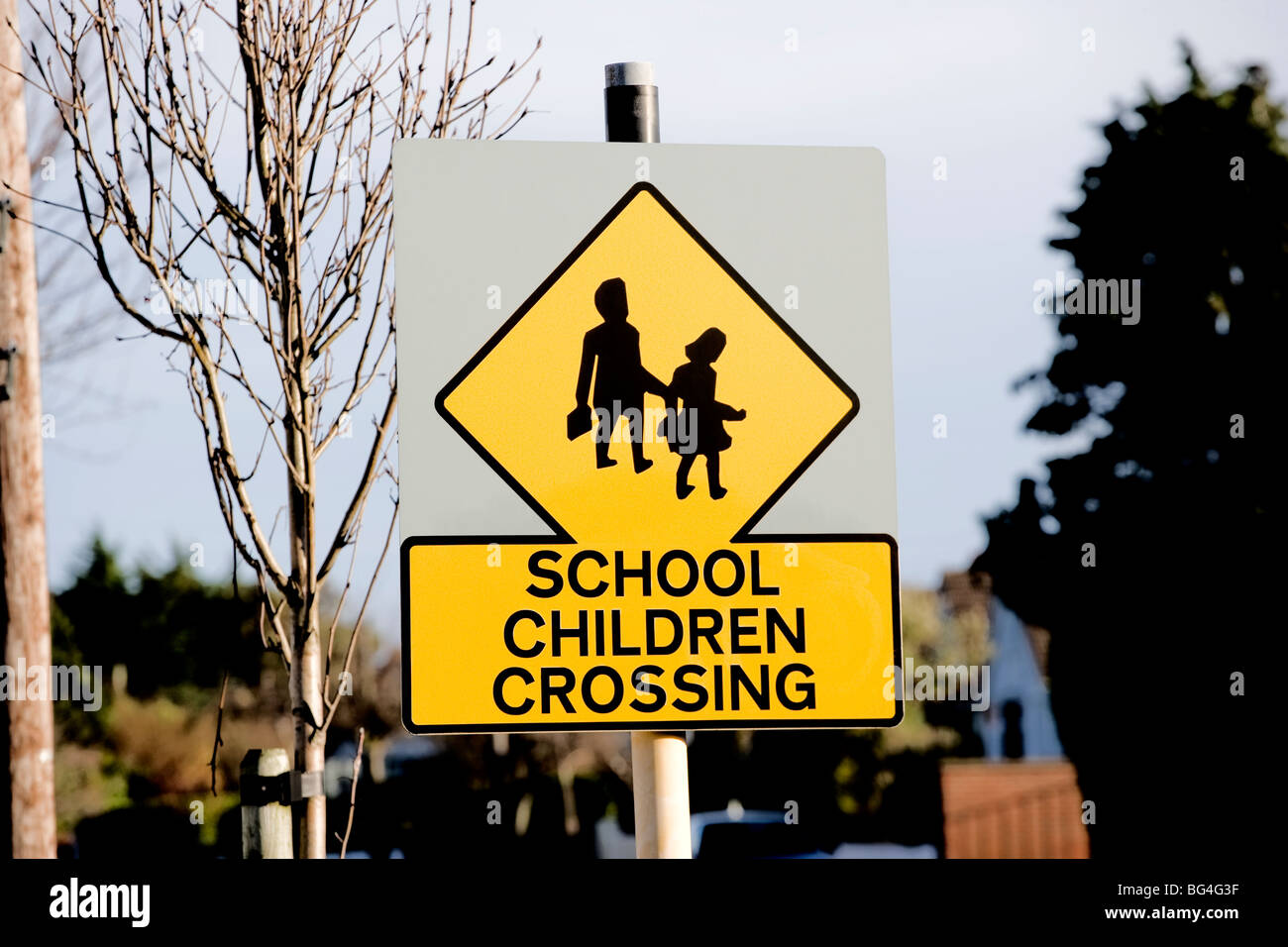Segno,signage,avviso,i bambini,attraversando,scuola,l'istruzione Foto Stock