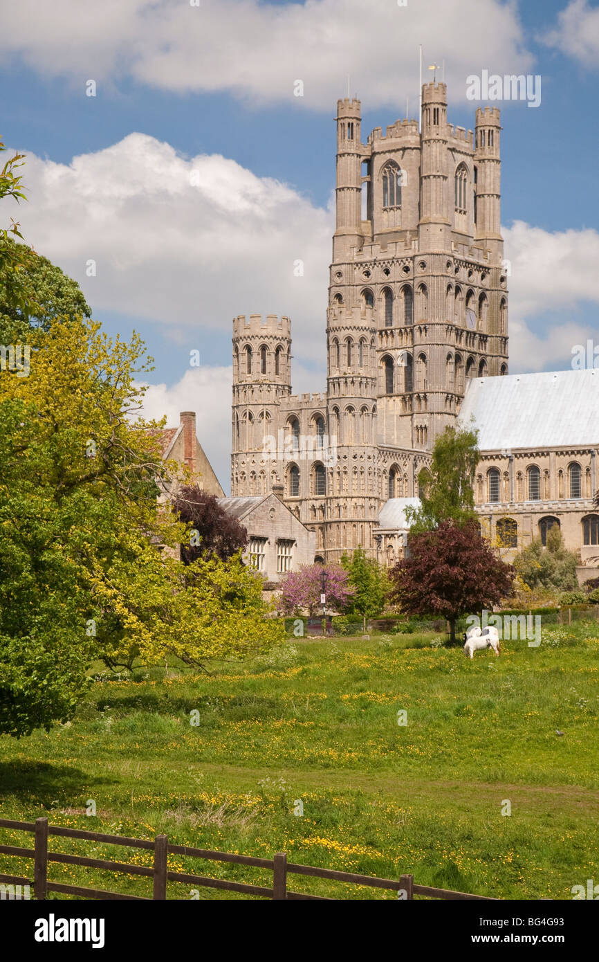 Cattedrale di Ely da Cherry Hill park e prati. Foto Stock