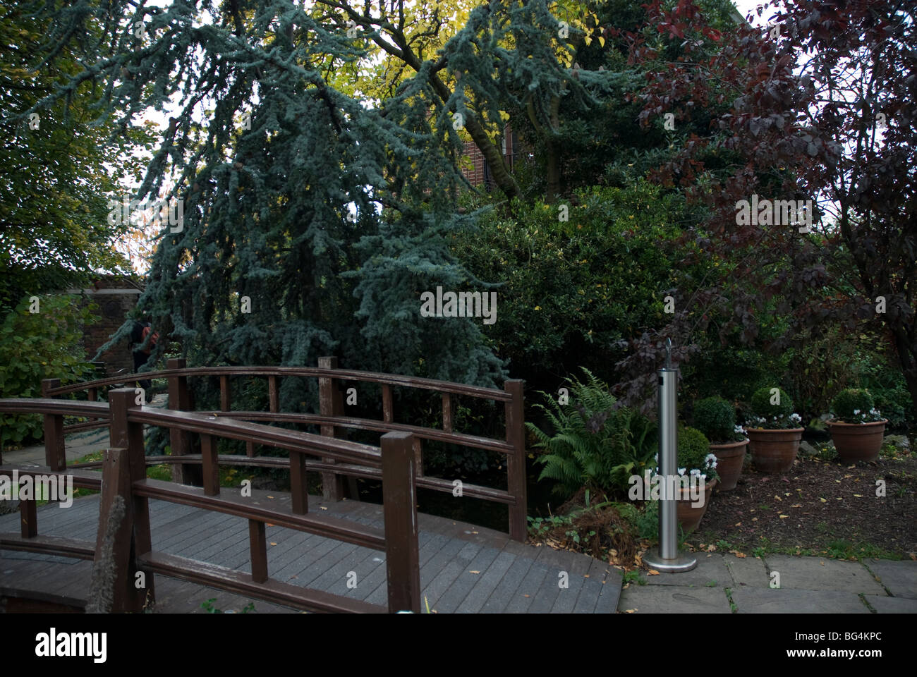 Ponte sul tetto di Kensington Garden, Kensington High Street London REGNO UNITO Foto Stock