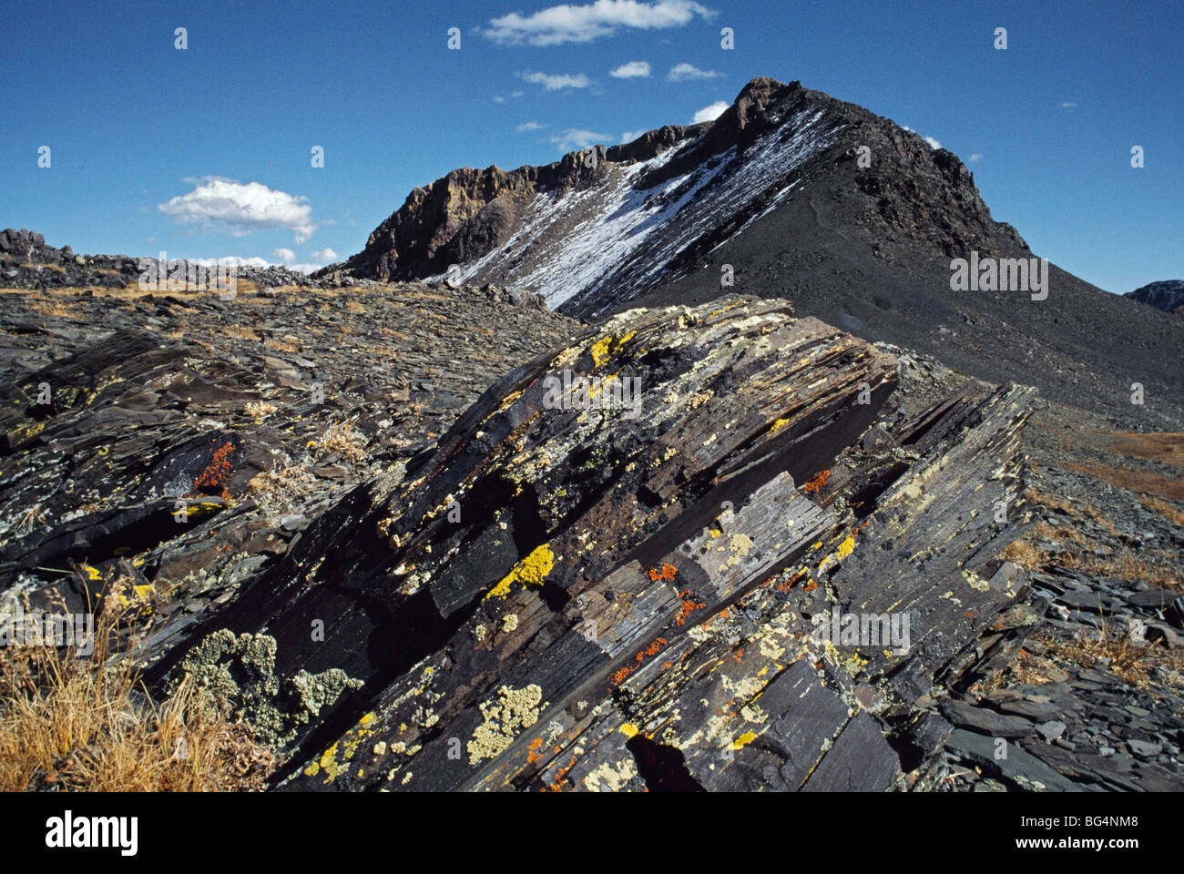 Shale uplift con cluster di lichene Foto Stock