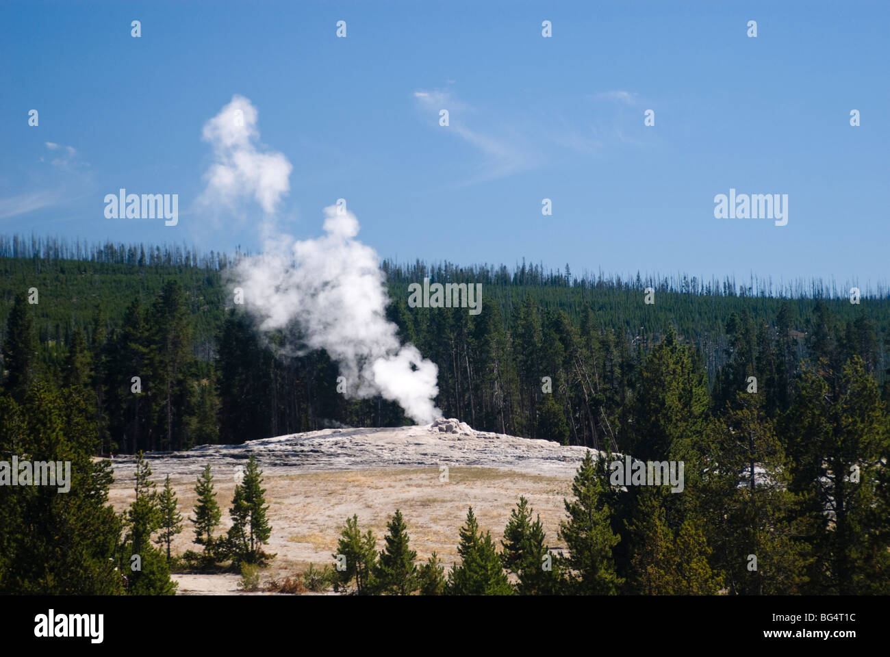 Geyser Old Faithful, il Parco Nazionale di Yellowstone Foto Stock