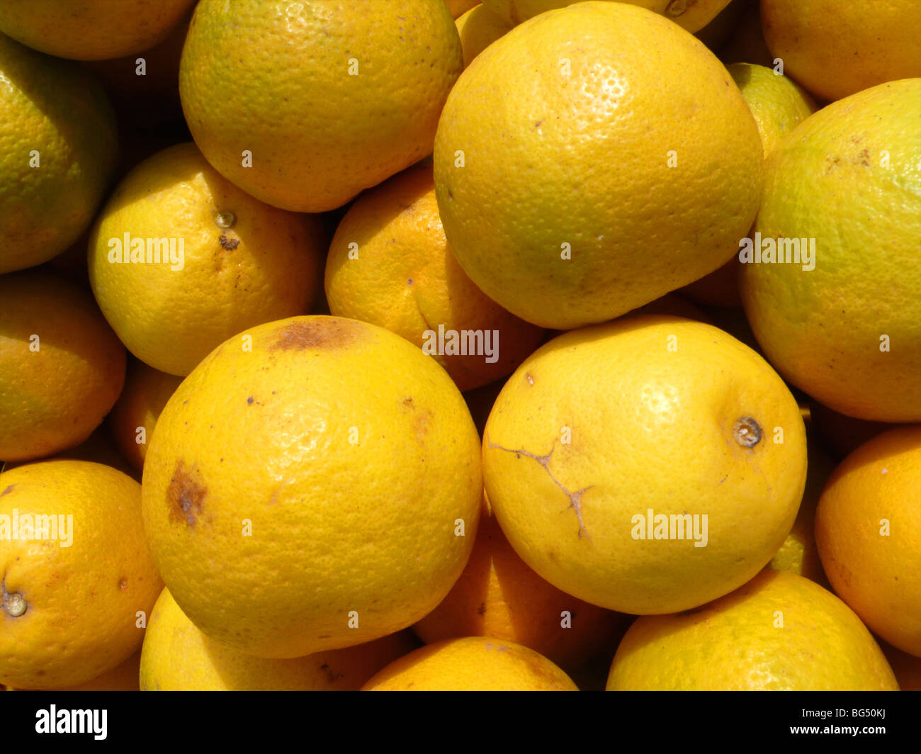 La vendita di arancione sul lato della strada, vicino ad Addis Abeba, Etiopia Foto Stock