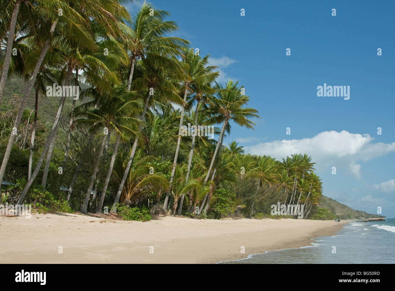 Ellis Beach, vicino a Cairns, Queensland, Australia Foto Stock