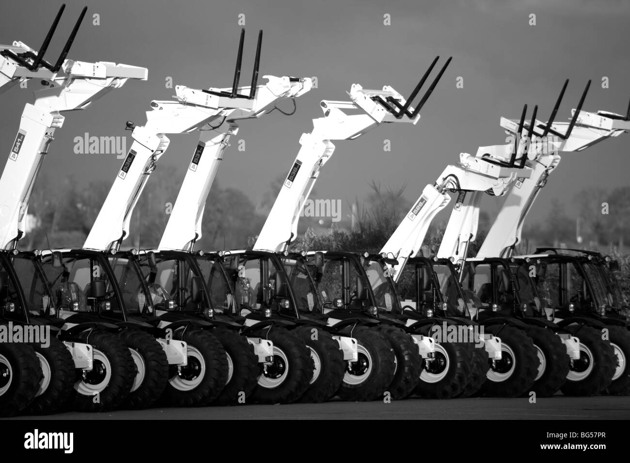 JCB linea di nuovi veicoli nel piazzale di stoccaggio, Derbyshire, Regno Unito Foto Stock