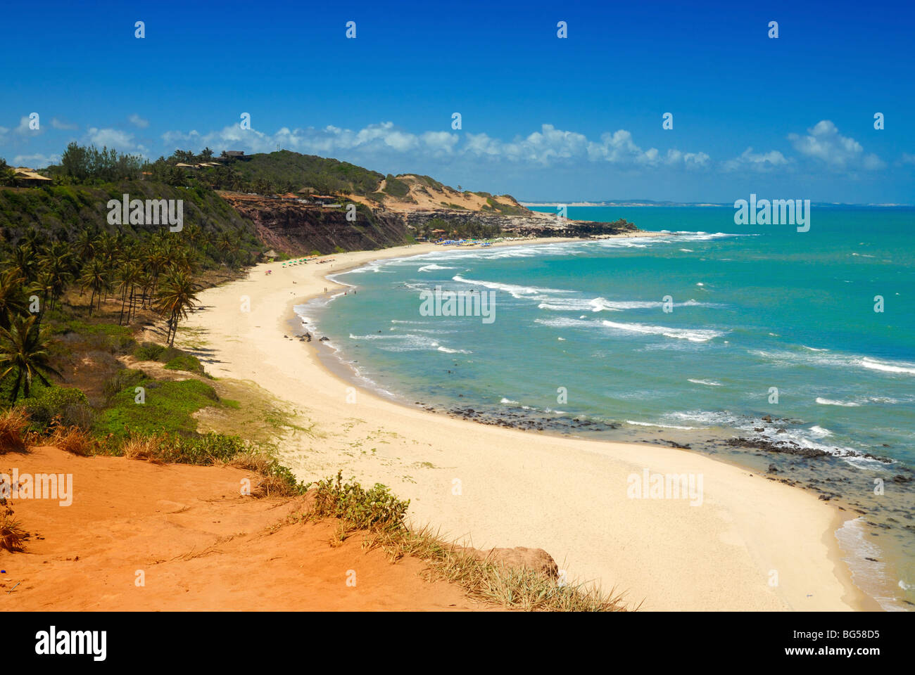 Bellissima spiaggia con palme a Praia do Amor vicino a Pipa Brasile Foto Stock