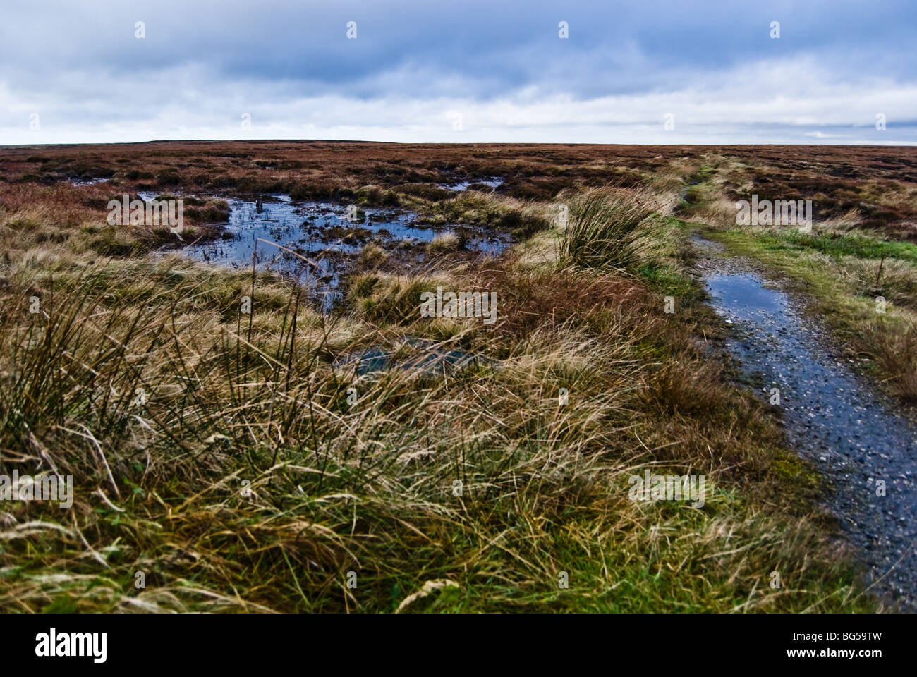 Saddleworth Moor Foto Stock