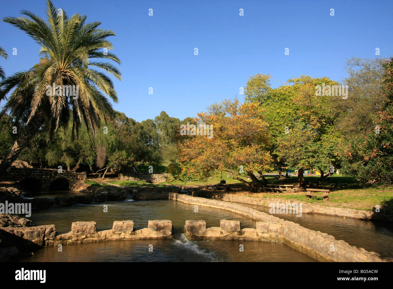 Israele, il Jordan River Park Foto Stock