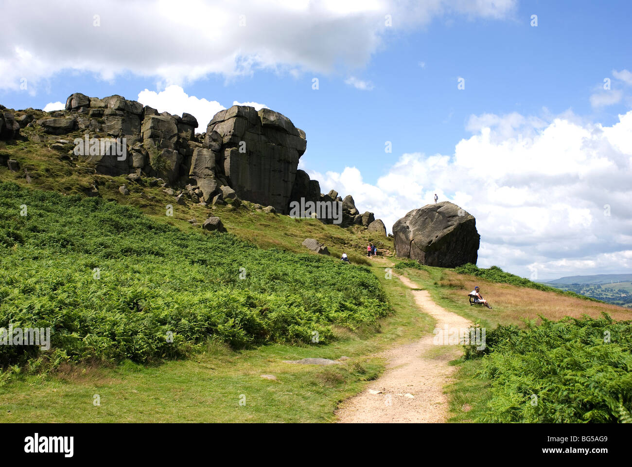 Latte di mucca e di rocce di vitello, Ilkley, Yorkshire, Inghilterra Foto Stock