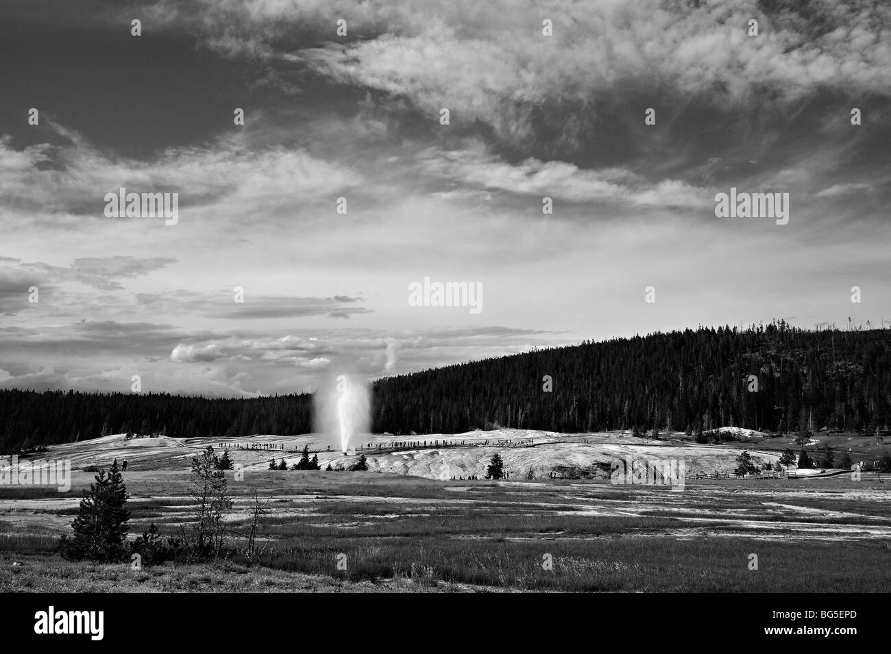 Beehive geyser nella Upper Geyser Basin del parco nazionale di Yellowstone, Wyoming USA Foto Stock