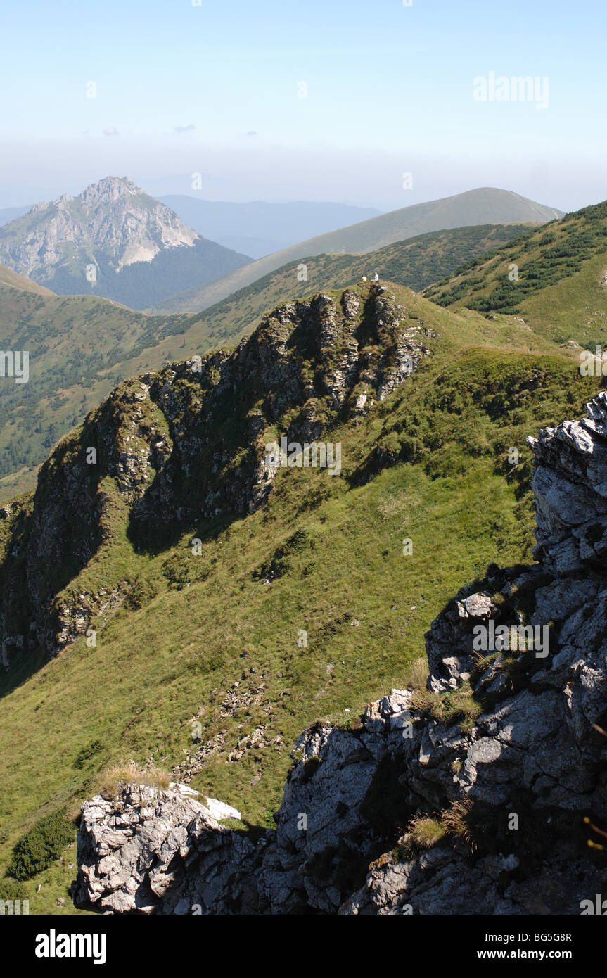 La vista dal picco di montagna Chleb Mala Fatra Parco nazionale della Slovacchia Foto Stock