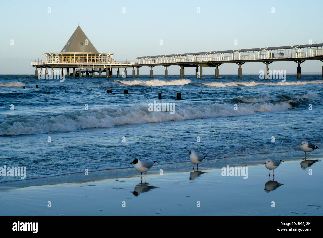 Seebrücke, Strand, Möven, Heringsdorf, Insel Usedom, Meclenburgo-Pomerania Occidentale, Deutschland | Pier, Spiaggia, gabbiani, Heringsdorf, Foto Stock