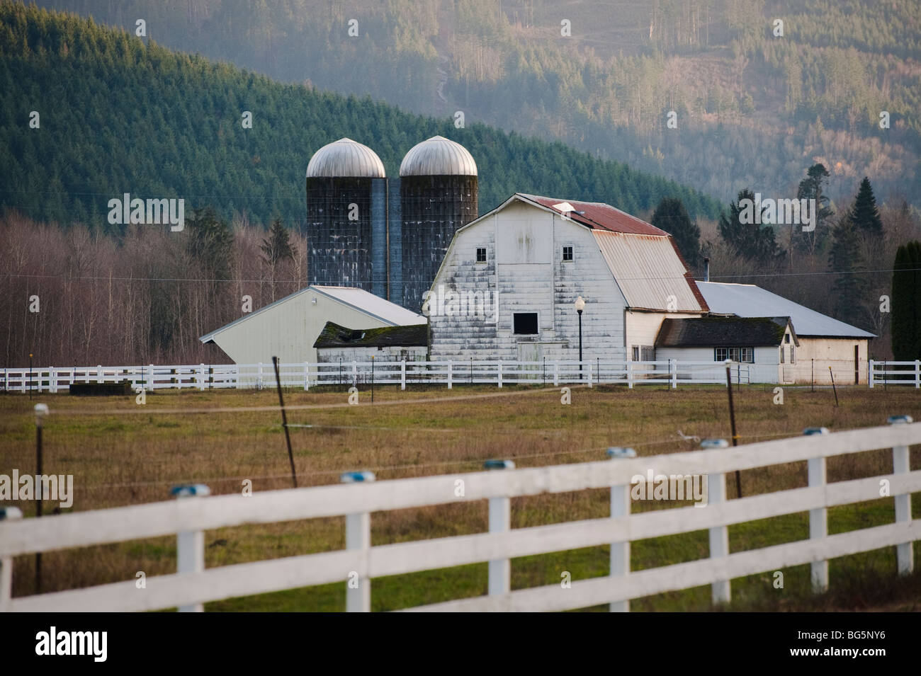 Nelle zone rurali la Whatcom County, Washington, un idilliaco paese di scena è sagomato da un fienile e silos accanto a un bel pascolo. Foto Stock