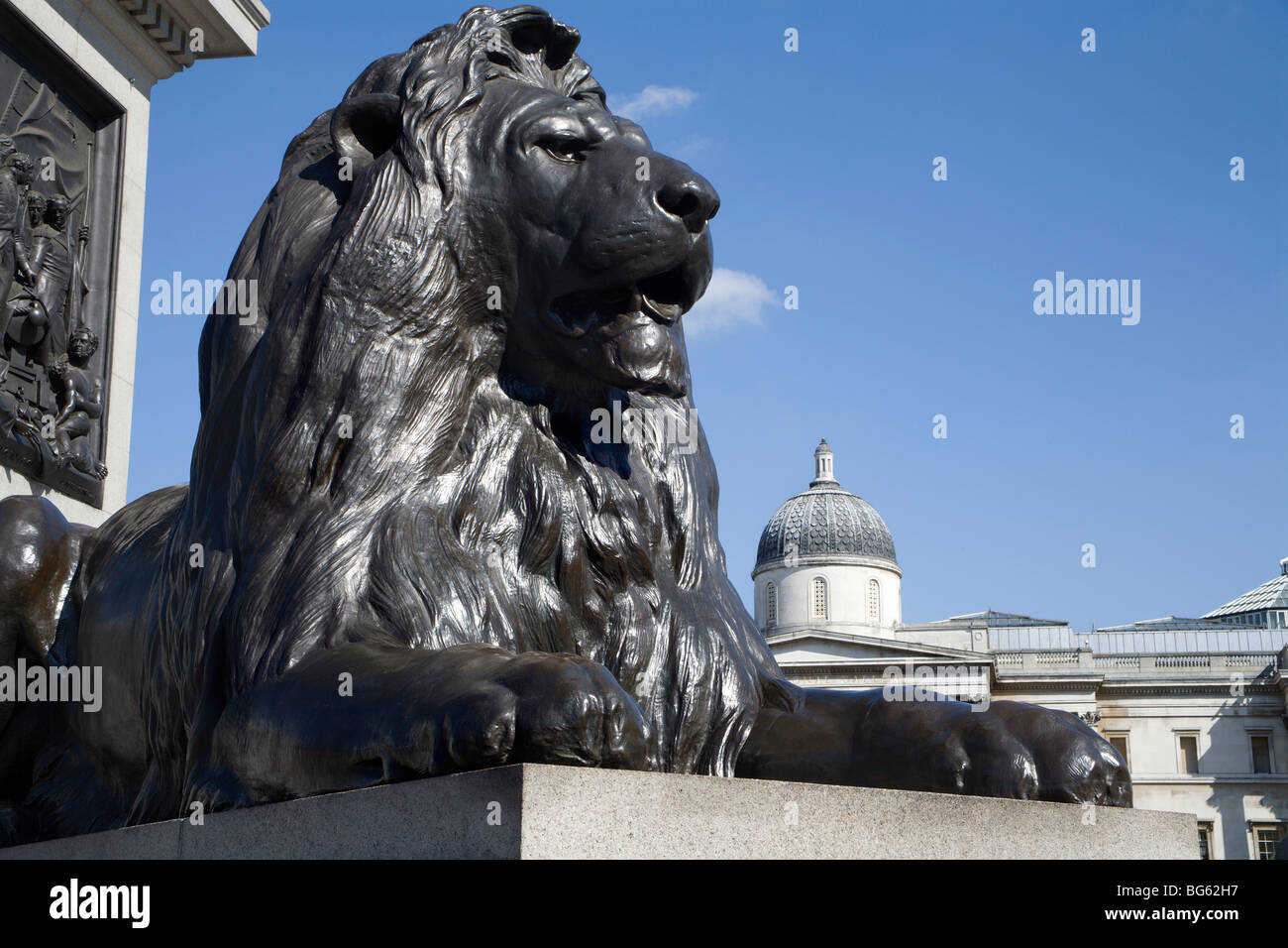 Londra - lion da Nelson memorial su Trafalgar square Foto Stock