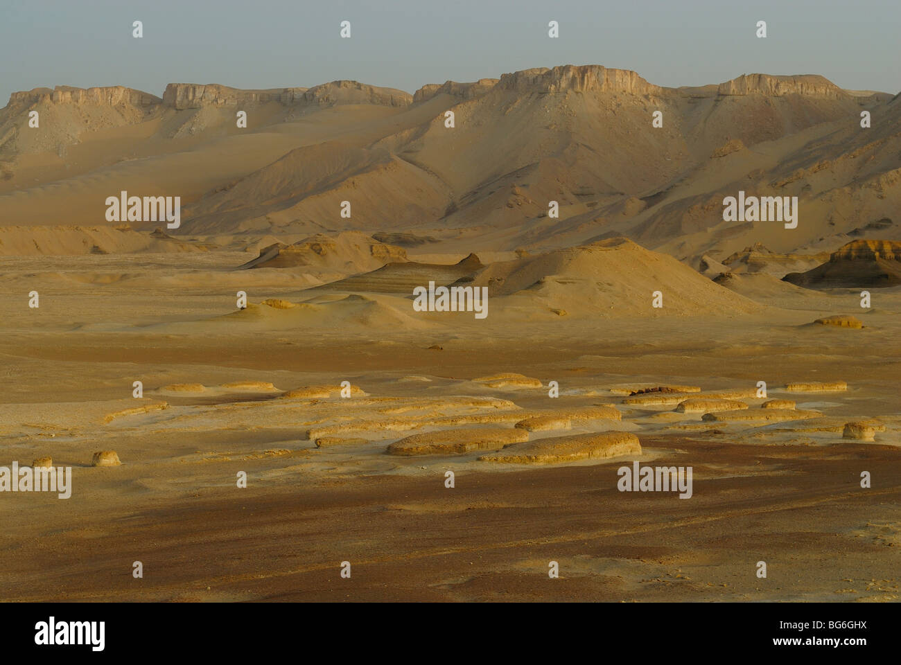 Le dune di sabbia del deserto occidentale d'Egitto Foto Stock