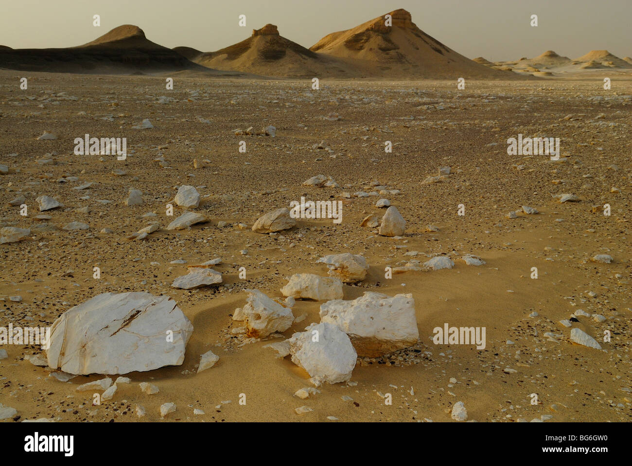 Le dune di sabbia e rocce nel deserto occidentale di Egitto Foto Stock