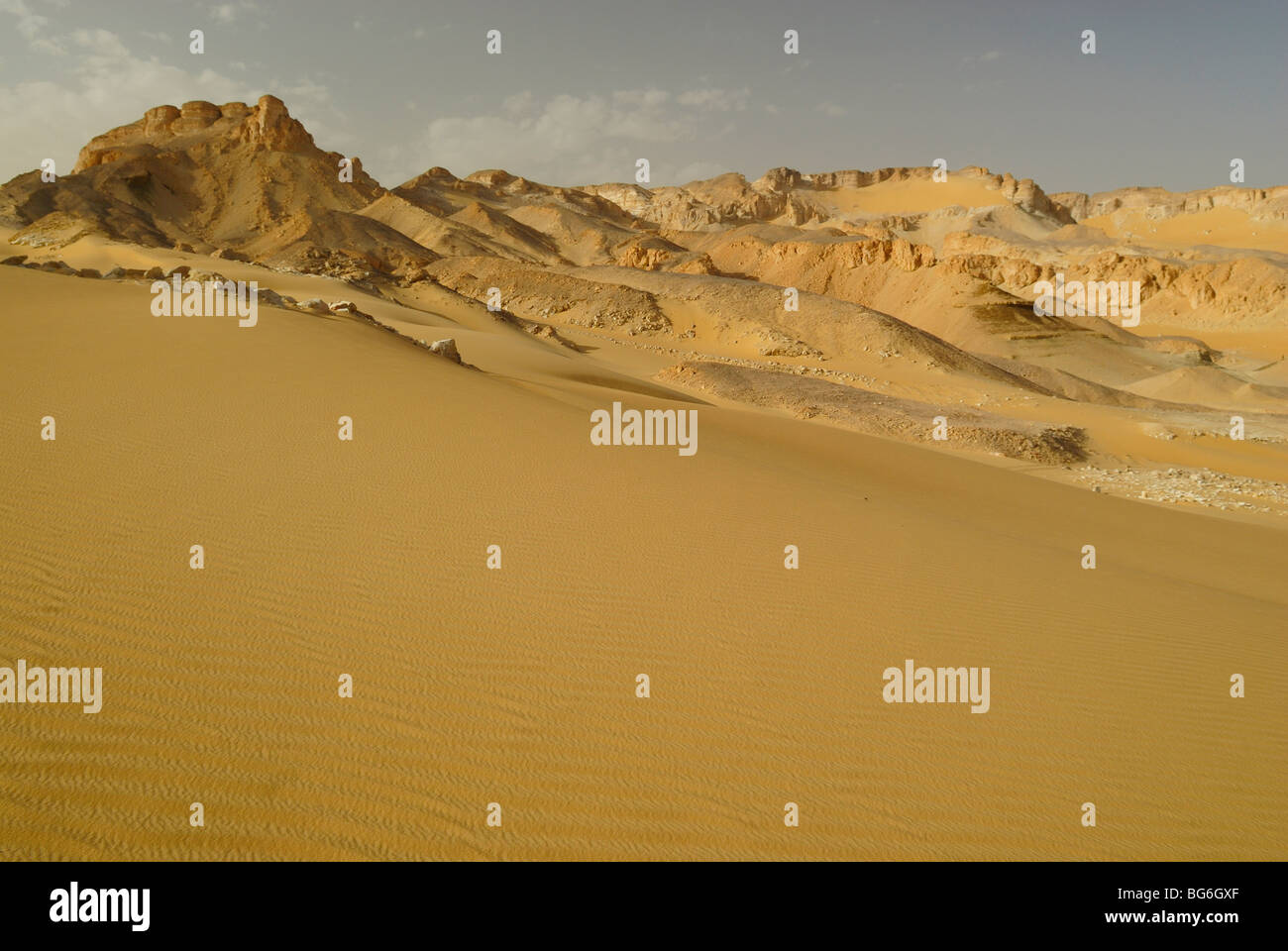 Colline di sabbia e dune nel deserto occidentale di Egitto Foto Stock