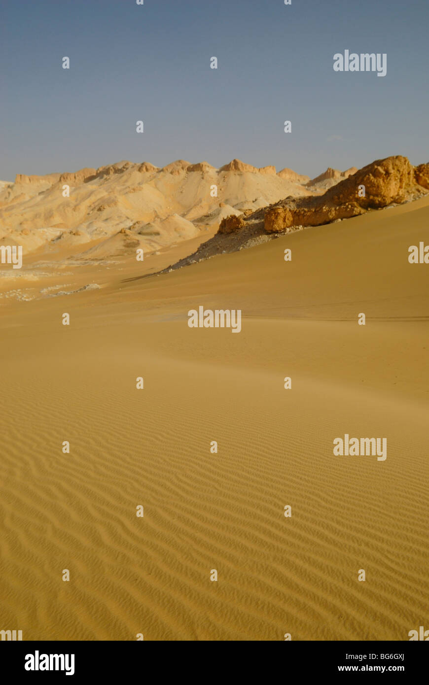 Colline di sabbia e dune nel deserto occidentale di Egitto Foto Stock
