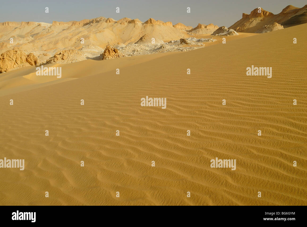 Giallo duna di sabbia nel deserto occidentale di Egitto Foto Stock